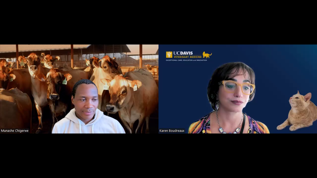 Educator Well-Being Initiative